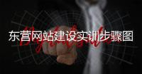 东营网站建设实训步骤图（东营wordpress网站建设）