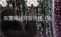 东营网站开发价格_(东营专业网站建设公司电话)