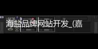 海盐品牌网站开发_(嘉兴海盐县企业高端网站设计)