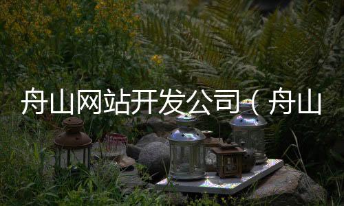 舟山网站开发公司(舟山网络)